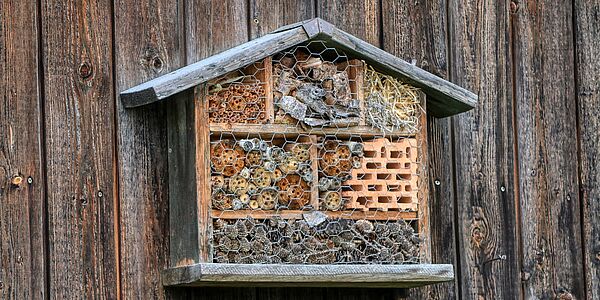 CSR Event Insektenhotelbau | Nachhaltiges Teamevent in Bayern Raum München für Firmen