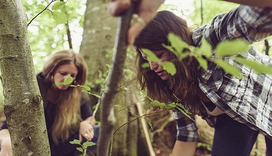 Zwei Personen beim gemeinsamen Pflanzen eines Baums im Wald 
