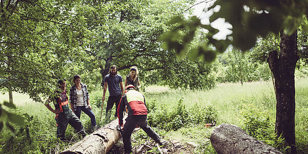 CSR Green Event Waldwerkeln | Nachhaltiges Teamevent in Bayern Raum München für Firmen