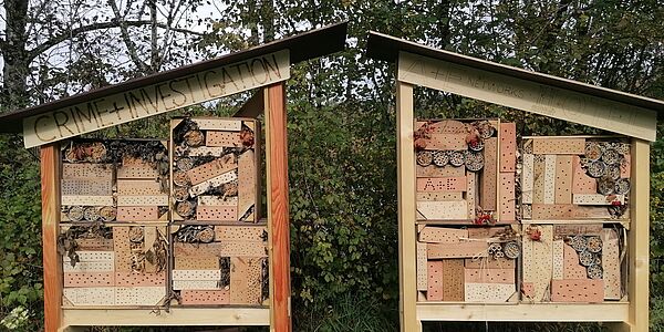 Insektenhotel bauen