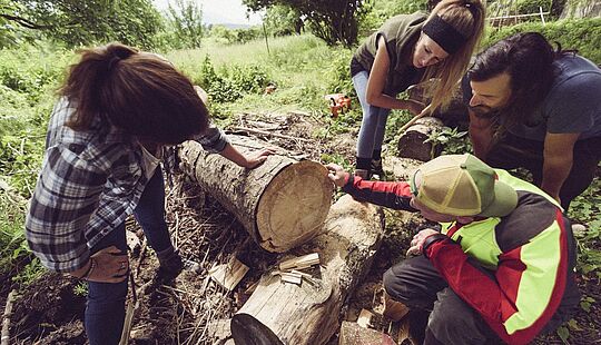 Drei Personen betrachten den Querschnitt eines umgesägten Baumes