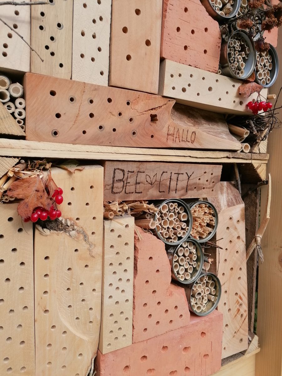 Insektenhotel bauen