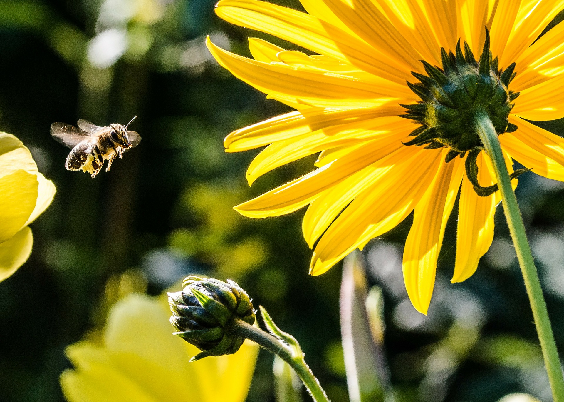 CSR Event Insektenhotelbau | Nachhaltiges Teamevent in Bayern Raum München für Firmen