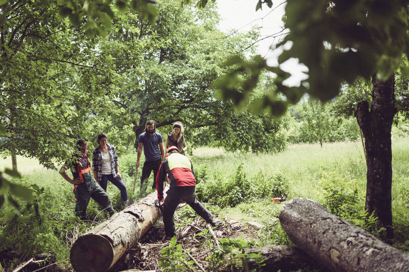 CSR Green Event Waldwerkeln | Nachhaltiges Teamevent in Bayern Raum München für Firmen
